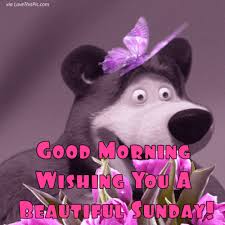Gif nature good morning happy sunday. Gif Nature Beautiful Scenery Nature Good Morning Happy Sunday Novocom Top