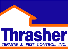 Rapid rodent removal can assist you. Pest Control Near Me