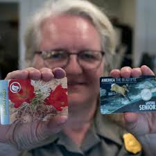 Seniors line up to buy lifetime national park passes before price hike in  August
