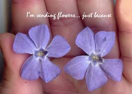 Just because gifts and just because flowers send the strong message that you are in love every single day. Purple Flowers In Hand Friendship Just Because Note Card Ad Affiliate Hand Flowers Purple Card