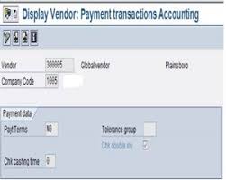 Two Different Payment Term For One Vendor In External Procurement Sap Blogs