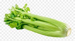 Celery Celery Png Clipart 3873738 Pinclipart