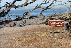 The formations and sand on black rock beach are much darker in contrast to the coquina formations at washington oaks state gardens and the anastasia limestone outcroppings at blowing rocks preserve further. Big Talbot Island State Park Ft George Florida