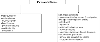 Parkinson S Disease And The Non Motor Symptoms Hyposmia Weight Loss Osteosarcopenia Springerlink