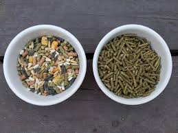 Pellets are specially designed for breeders richer in protein to make rabbits grow quickly. How To Choose Rabbit Pellets Buns