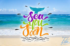 Sea You Soon Sandbridge Virginiabeach Beachquote 11 24 Virginia Beach Vacation Sandbridge Beach Virginia Beach Vacation Rentals