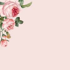 Download Hand Drawn Pink Roses Frame On Pastel Pink Background For Free Flower Frame Png Pink Background Flower Frame