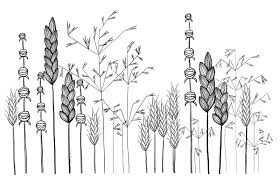 My Original Art Inspired By Many Doodle Flower Line Drawing Tattoo Garden Plants Grass Flower Garden Drawing Wildflower Drawing Flower Line Drawings