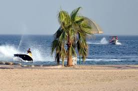 رحلة استجمام فريدة في شاطئ نصف القمر الخبر ام القرى