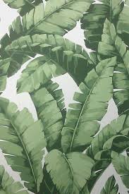 Pin By Designfolly On Tiki Bar Style Leaf Background Tropical Botanical Prints