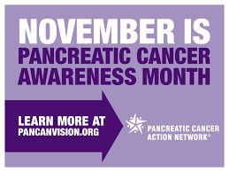 Pin On Pancreatic Cancer Actn Ntwk