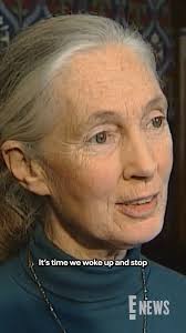 Counting On' alum Abbie Duggar announced that she's pregnant with her and  husband John-David Duggar's third baby. bit.ly/47wSczn