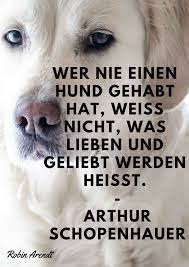 Der spruch erinnert vielleicht аn ein zitat aus der bibel, und kann damit für gläubige menschen einen religiösen bzw. Klicke Um Das Bild Zu Sehen Wer Nie Einen Hund Gehabt Hat Weiss Nicht Was Lieben Und Geliebt Werden Heisst Arthu Hund Zitat Hunde Gedichte Ich Liebe Hunde