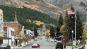 Image result for Harungana montana