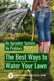 Should i water my lawn if it is going to rain? No Sprinkler System To Water Your Lawn No Problem You Can Still Water Your Lawn With No Sprinkler Sprinkler System Sprinkler Lawn