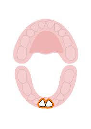 Yeah it takes at least a month for the tooth to fully emerge once it cuts.some take even longer. Baby Teeth Chart What Order Do Babies Teeth Come In Babycenter