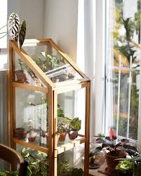My Scandinavian Home The Delightful Home Of A Plant Lover And A Darling Dalmation My Scandinavian Home House Plants Plants