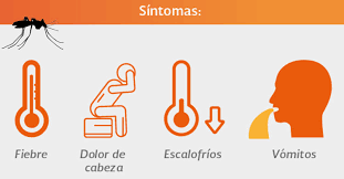 Las naciones unidas establecen el día 25 de abril como el día mundial del paludismo o día mundial de la malaria, una fecha marcada en el calendario para recordar que esta enfermedad sigue matando a 660.000 personas al año, especialmente a niños menores de cinco años del áfrica subsahariana. Dia Mundial Del Paludismo Secretaria De Salud Gobierno Gob Mx