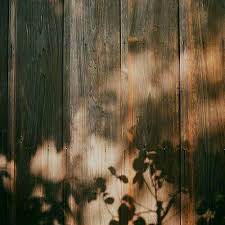 Wood Aesthetic Light Brown Aesthetic Dark Aesthetic