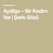 Aydilge Bir Kedim Var Sarki Sozu 2020 Sarkilar Kedi Sarki Sozleri