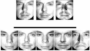 Normal recognition of emotion in a prosopagnosic