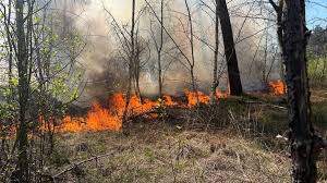 Nablussen bosbrand bij A58 in Tilburg kan nog even duren