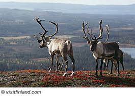 Gelegen, hat eine wasserfläche von etwa 1760 qkm, während die gesamte wasserfläche mit allen sunden und strömen rund 7000 qkm umfasst. Finnland Lappland Nationalparks Ostseekuste Ostsee Walder Berge Scharen