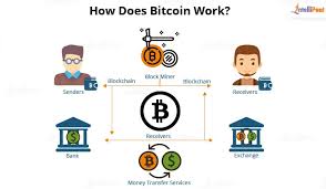 Are you yet to understand the differences between bitcoin and blockchain? What Is Bitcoin Blockchain And Bitcoin Blockchain Size Intellipaat