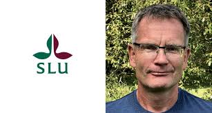 M Sverige granskar: Ökande viltstammar och viltolyckor