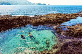 Jika anda dari bandar lampung bisa. Galeri Lampungku