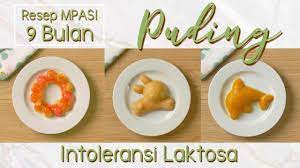Resep Mpasi 9 Bulan Membuat Puding Untuk Bayi Alergi Susu Sapi Resep Intoleransi Laktosa Youtube