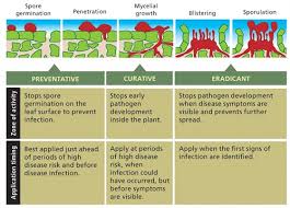 Greencast In Uk And Ireland Fundamentals Of Fungicide