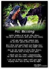 Prayer for pets safe return. Pet Blessing Witchcraft Wicca Wiccan Spells