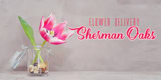 Our experts create the perfect floral gifts to suit any special occasion and offer quick and easy floral delivery for your convenience. The 8 Best Options For Flower Delivery In Sherman Oaks 2021