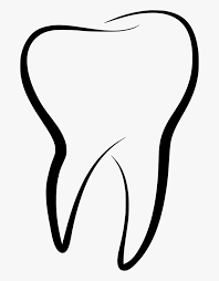 Transparent Dente Png - Tooth Icon, Png Download , Transparent Png Image - PNGitem