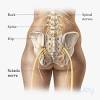 There are around 650 skeletal muscles within the typical human body. 1