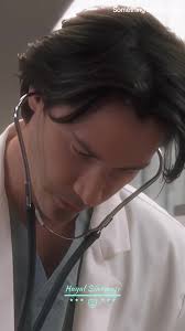 Plak Sirketi Ne Demek