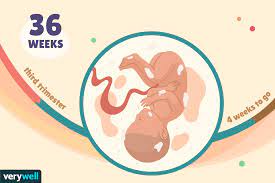 36 Weeks Pregnant Baby Development Symptoms And More