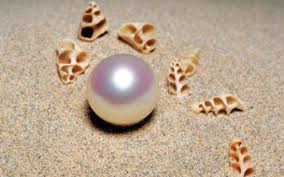 Image result for ‫صورة لؤلؤة‬‎