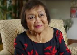 User-Friendly Home Automated PD System