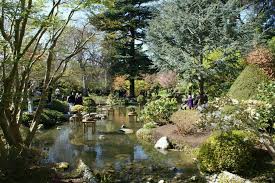 pin on japan landscape