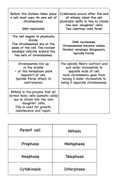 Answer key building dna gizmo answers, student exploration dichotomous keys pdf free download 5 days ago answer key building dna gizmo answers, convection cells gizmo explore learning student exploration stoichiometry answer key. Meiosis Gizmo Answer Key Activity A Meiosis Gizmo Answer Key Activity D