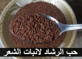 حب الرشاد لانبات الشعر