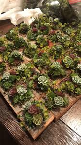 We did not find results for: Succulent Centerpieces I Made For My Wedding Somethingimade