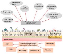 Image result for Stool Lactoferrin