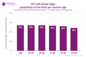 Donor Egg Ivf Success Rates The Truth Clinics Don T Tell You