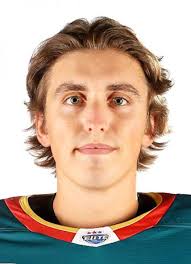 Player photos for the 2018-19 Sheffield Steelers at hockeydb.com