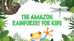 Facts About The Amazon Rainforest For Kids Youtube