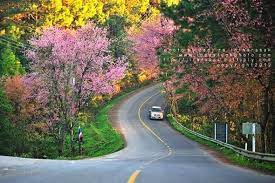 bloggang com pakwanka รวมส ดยอดถนนว วสวย ในเม องไทย