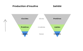 Les phases du régime dukan. Le Regime Thonon Est Il Vraiment Efficace Critique Avis